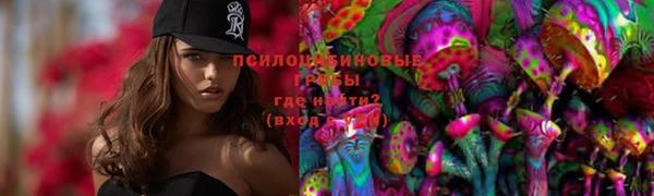 ГАЛЛЮЦИНОГЕННЫЕ ГРИБЫ Вяземский