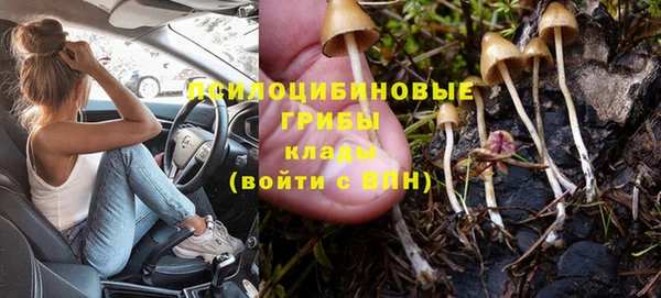 ГАЛЛЮЦИНОГЕННЫЕ ГРИБЫ Вяземский