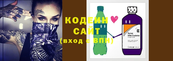 ГАЛЛЮЦИНОГЕННЫЕ ГРИБЫ Вяземский