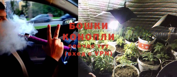 apvp Вязьма
