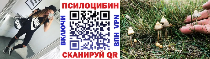 мега ССЫЛКА  где продают   Иланский  это официальный сайт  Галлюциногенные грибы Psilocybe 
